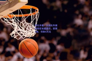 激化矛盾！大连队外援科特尼克遭重罚，禁赛6场、罚款6万元