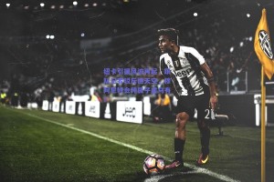 纽卡引援风波再起，跟队记者驳斥德天空，穆阿尼转会纯属子虚乌有？